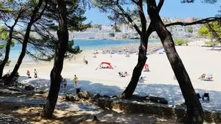 Wetterexperte erklärt, warum es auf Mallorca gerade so warm ist – und noch eine Weile so bleibt