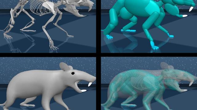 Crean la primera rata virtual para descifrar cómo controla el cerebro el movimiento