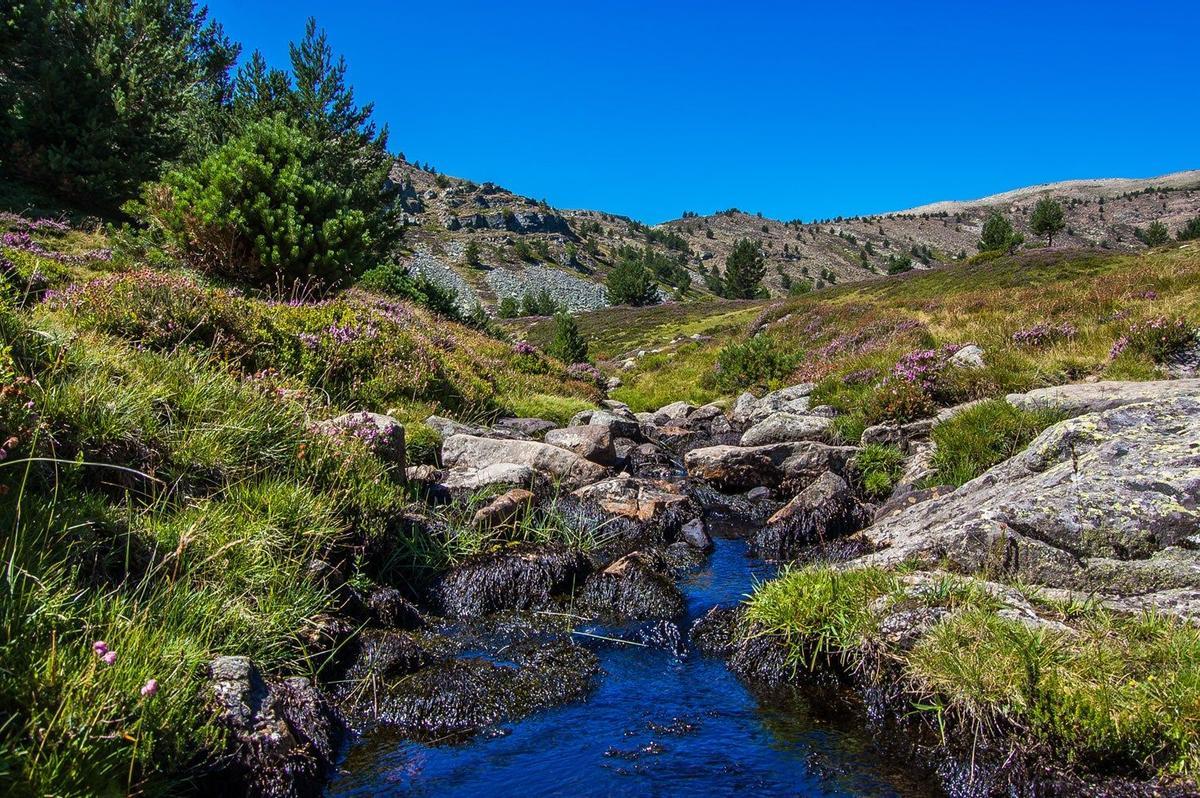 Navaleno, Soria