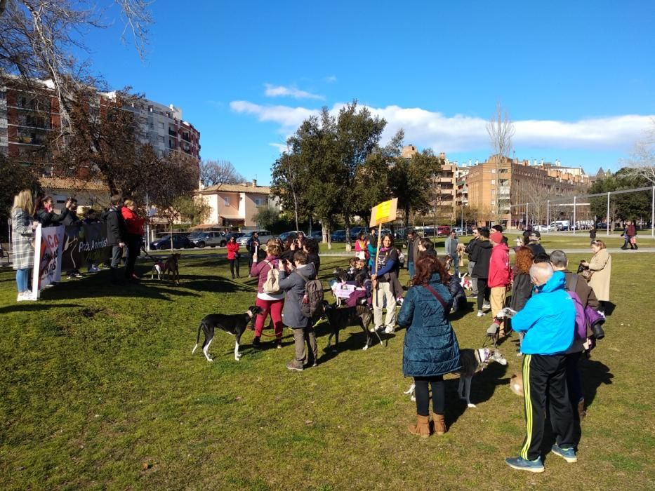 Manifestació contra la caça a Girona