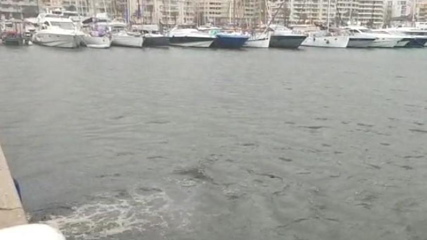 Nuevo vertido en el puerto de Vila por la lluvia | FOTOS DE VICENT MARÍ