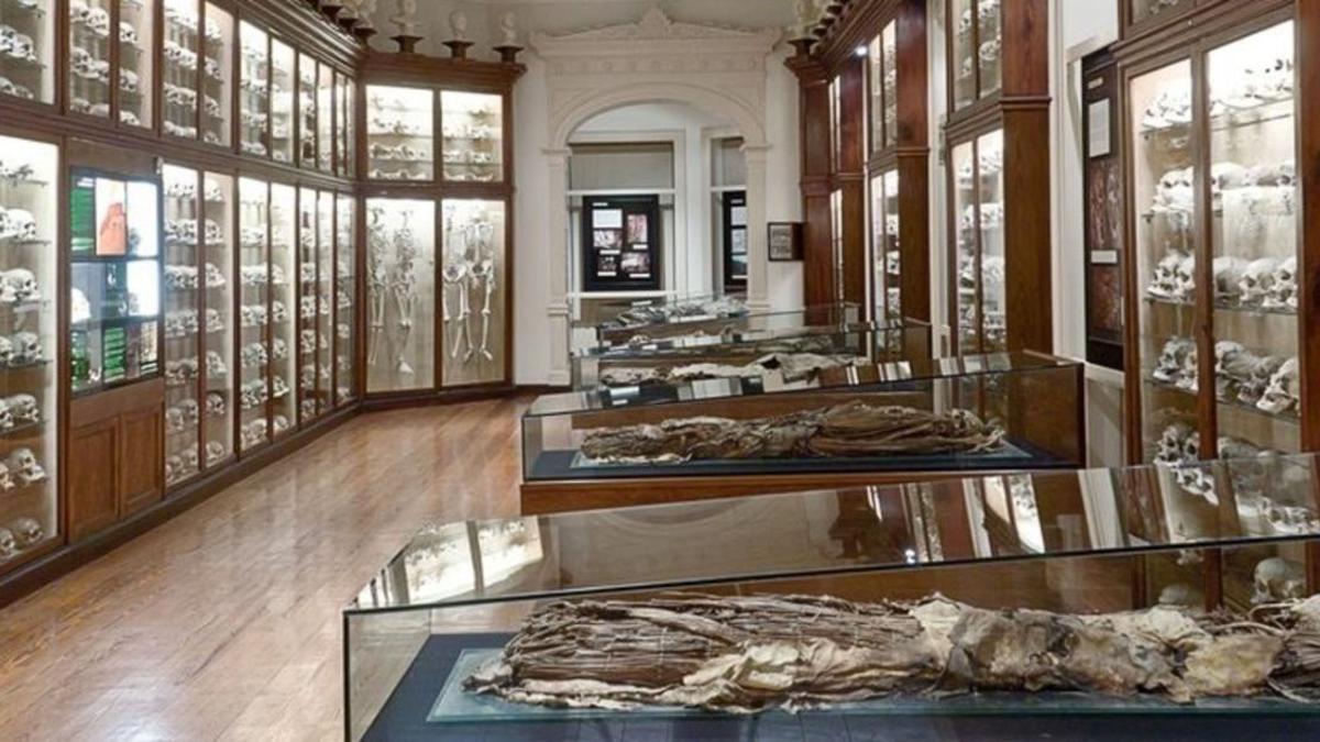 Imagen de una de las salas del Museo Canario.
