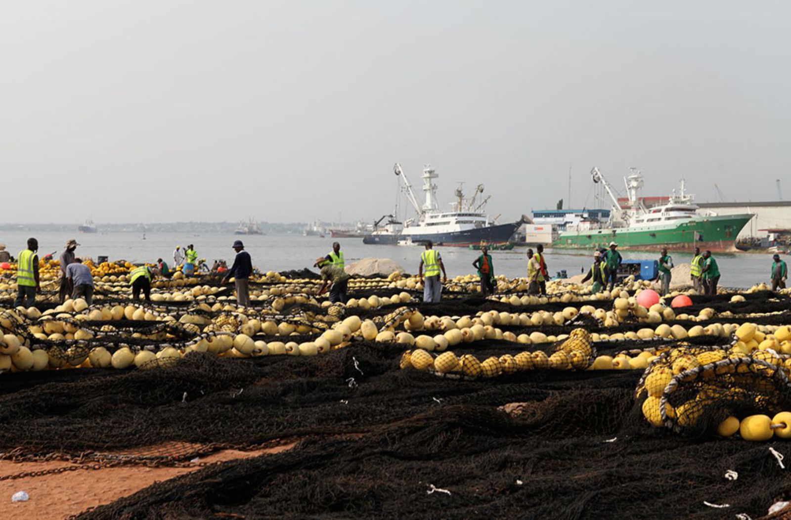 Dársena pesquera en el puerto de Abidjan, donde fue desembarcada la observadora de la empresa IPD. | Port Abidjan