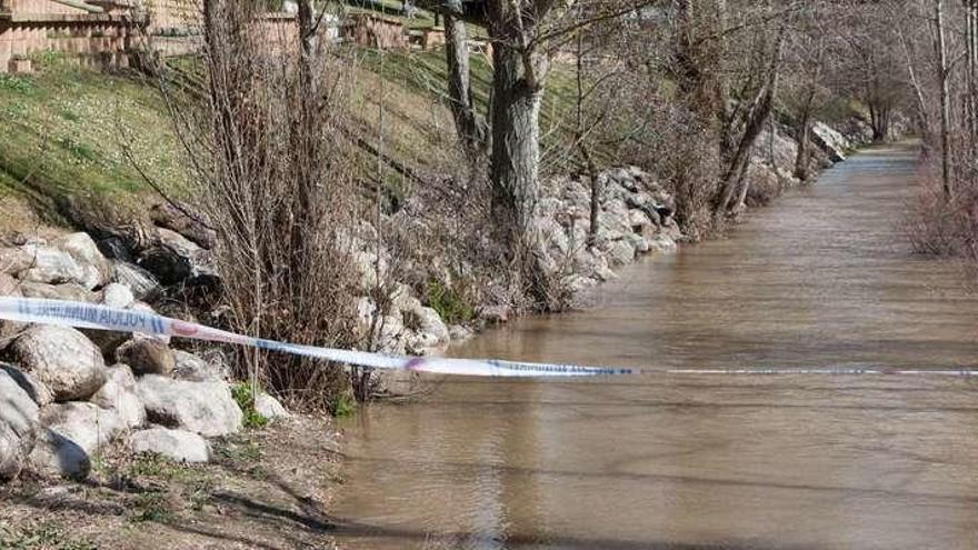 Uno de los paseos junto al Puente de Hierro.