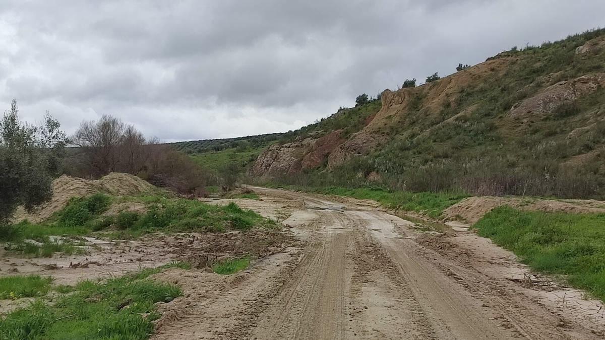 Uno de los caminos afectados por las borras cas del pasado invierno en Baena.