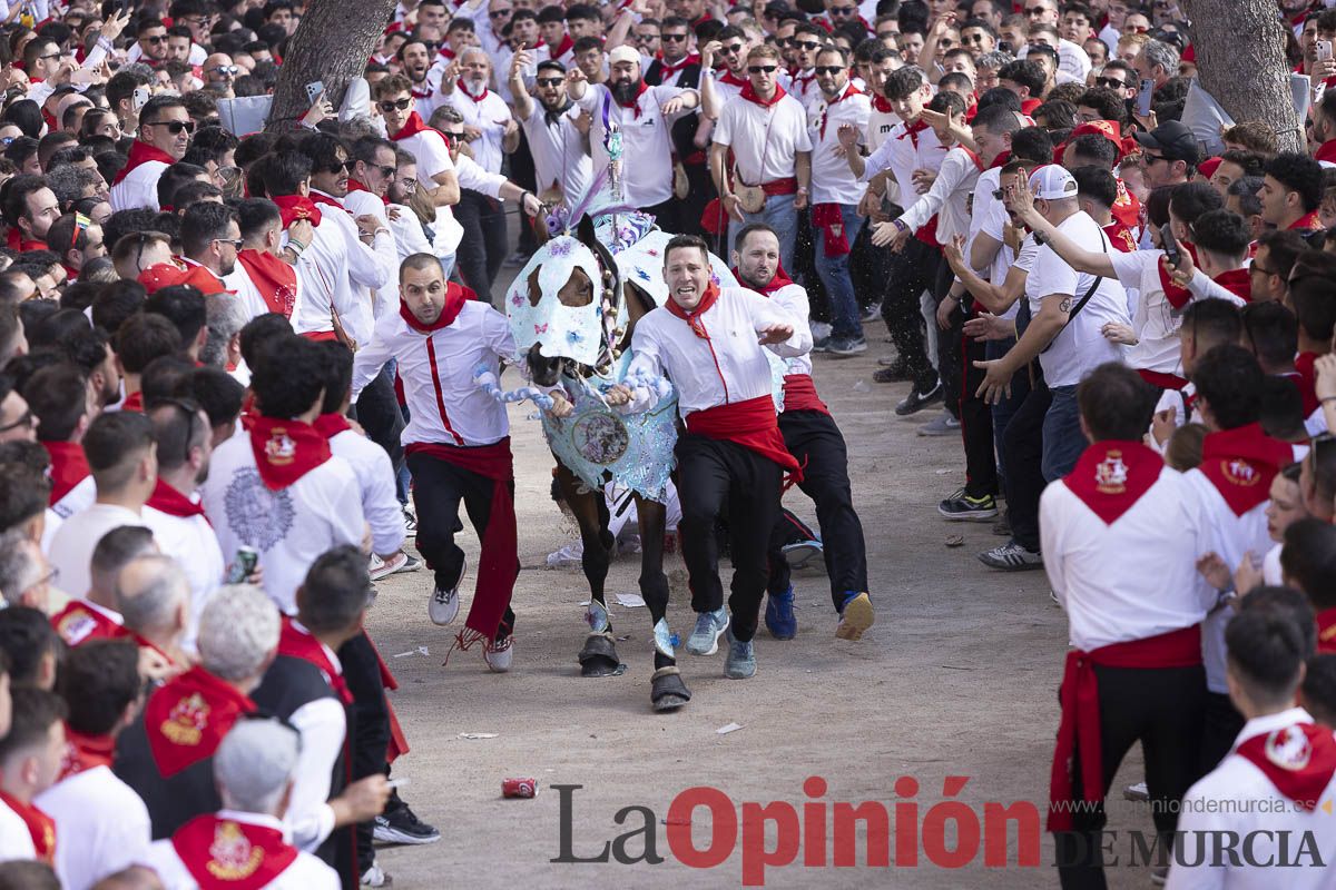 Así se ha vivido la carrera de Los Caballos del Vino en Caravaca