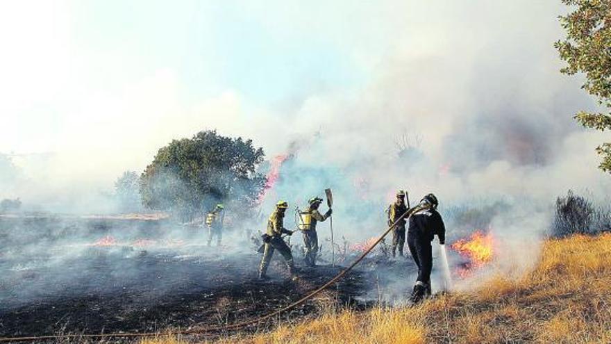 Una cuadrilla y bomberos trabajan en la extinción de un incendio en la comarca de Sanabria.