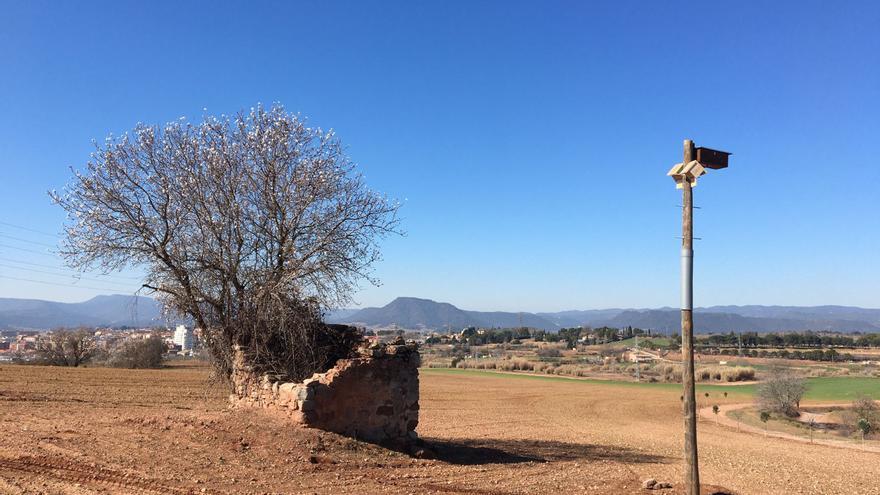 Sant Fruitós instal·la més de 50 caixes niu per promoure la nidificació d&#039;aus