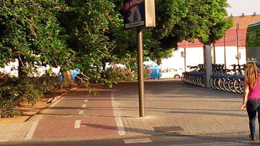 Carril bici de riesgo por la falta de poda en la avenida de Aragón