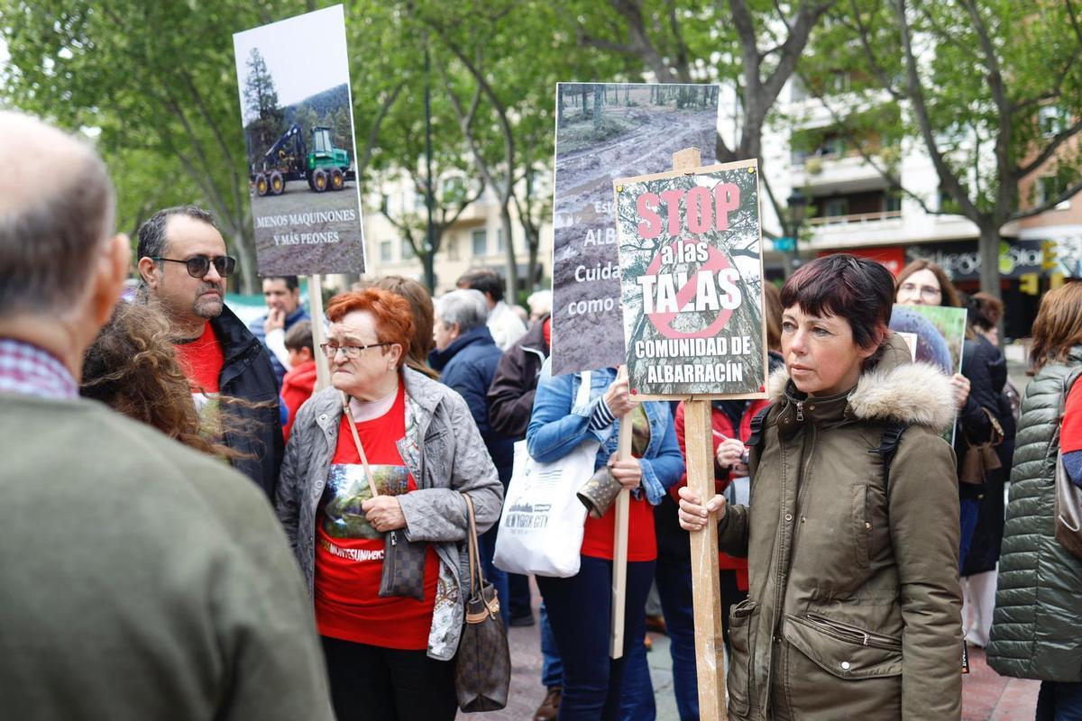 Fotogalería | Manifestación contra la tala masiva de árboles en los ...