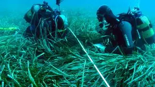 La náutica recreativa concentra el 83% de las embarcaciones que presionan el medio marino en el litoral de Alicante