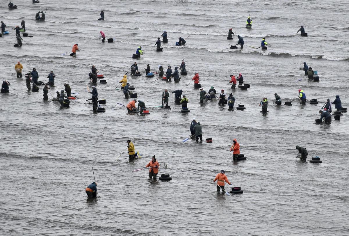 Mariscadoras ayer por la mañana en Campelo, Poio.
