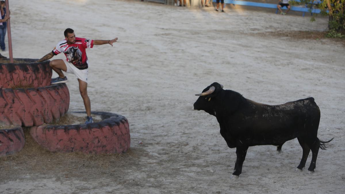 La vaquilla del Moralet se celebra en agosto