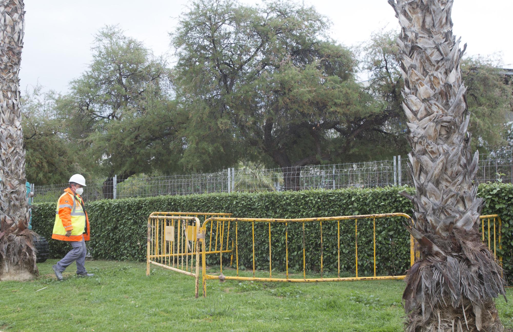 Socavón en el parque Joan Fuster de Alicante por la rotura del colector de aguas que pasa por debajo