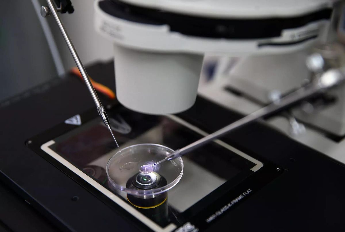 La Fecundació in Vitro és una de les tècniques de reproducció assistida més segures per a les dones amb al·lèrgia al semen.