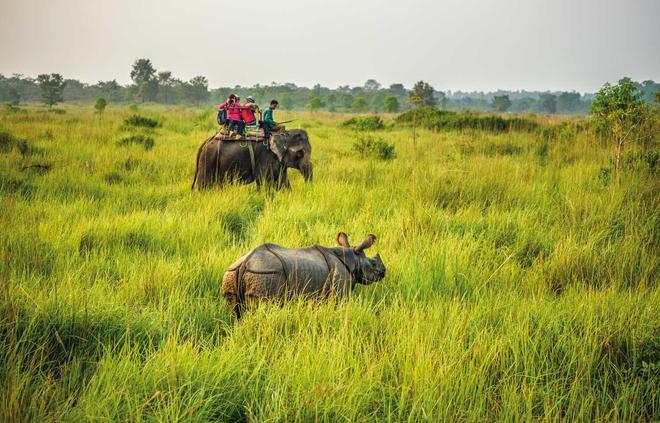 Chitwan, la selva del Himalaya