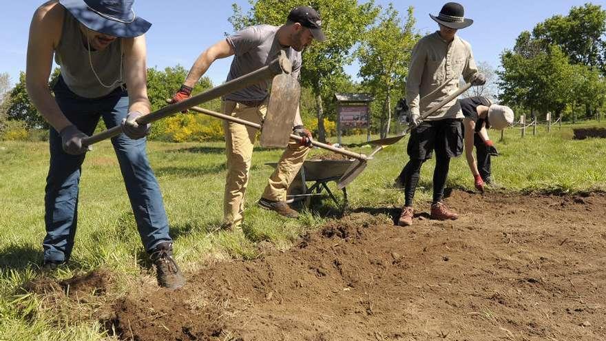 Arqueólogos iniciaron ayer los primeros trabajos de la nueva fase de excavación. // Bernabé/Javier Lalín