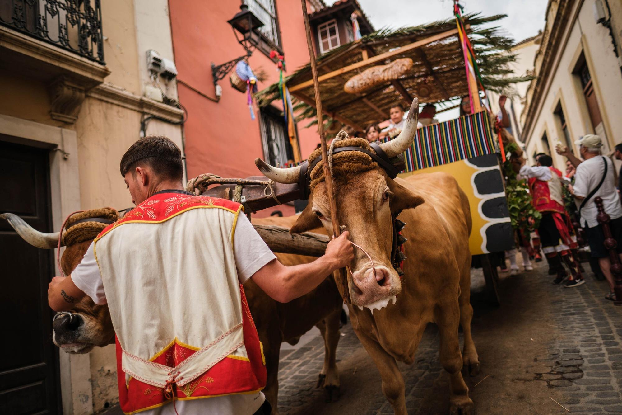 Romería de La Orotava