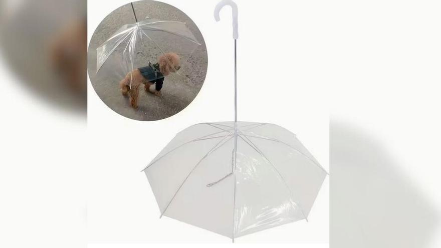 Así funciona el paraguas para perros