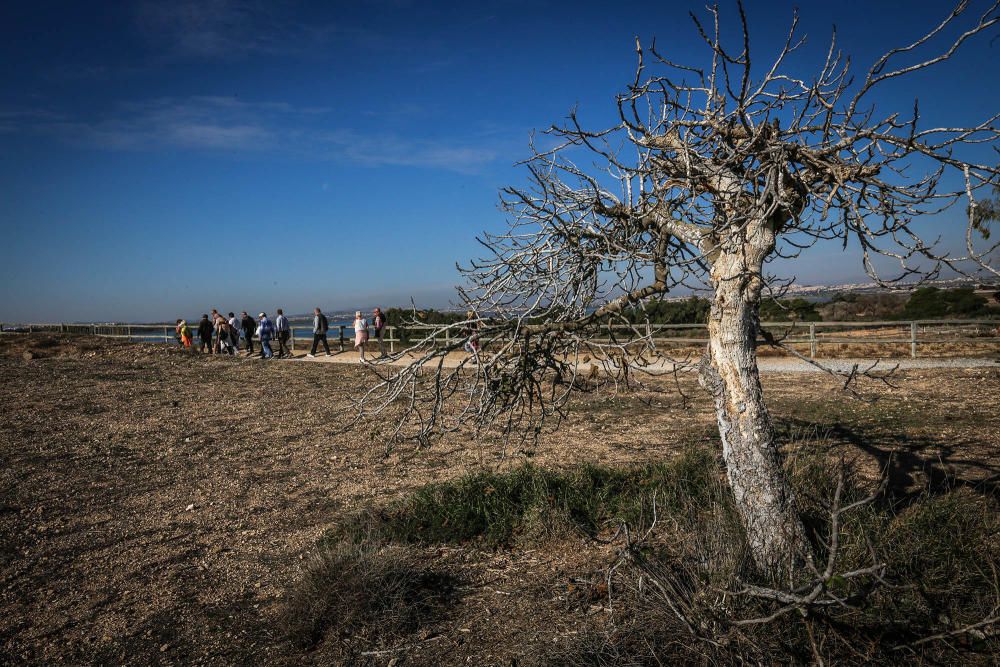 Ruta ecoturistica por el parque natural de La Mata