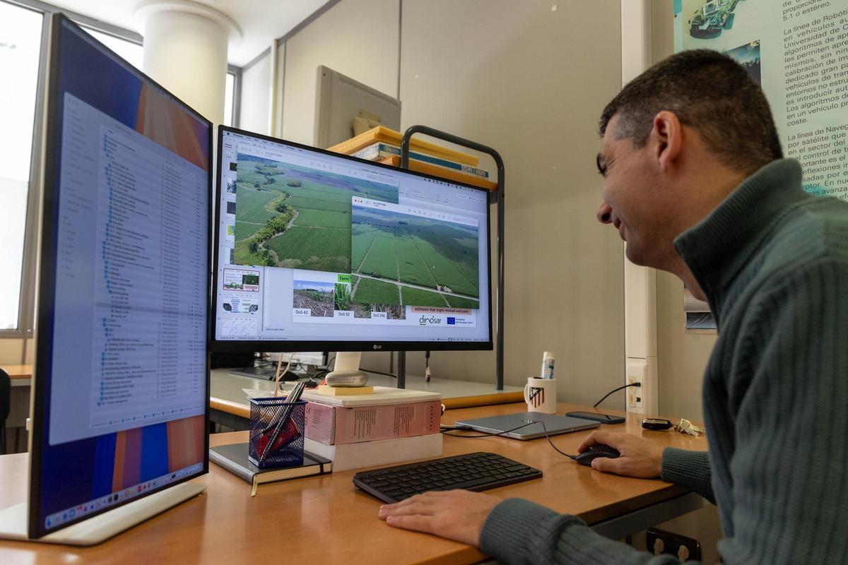 El proyecto ha permitido monotorizar cultivos de caña de azúcar en Colombia con imágenes de satélite