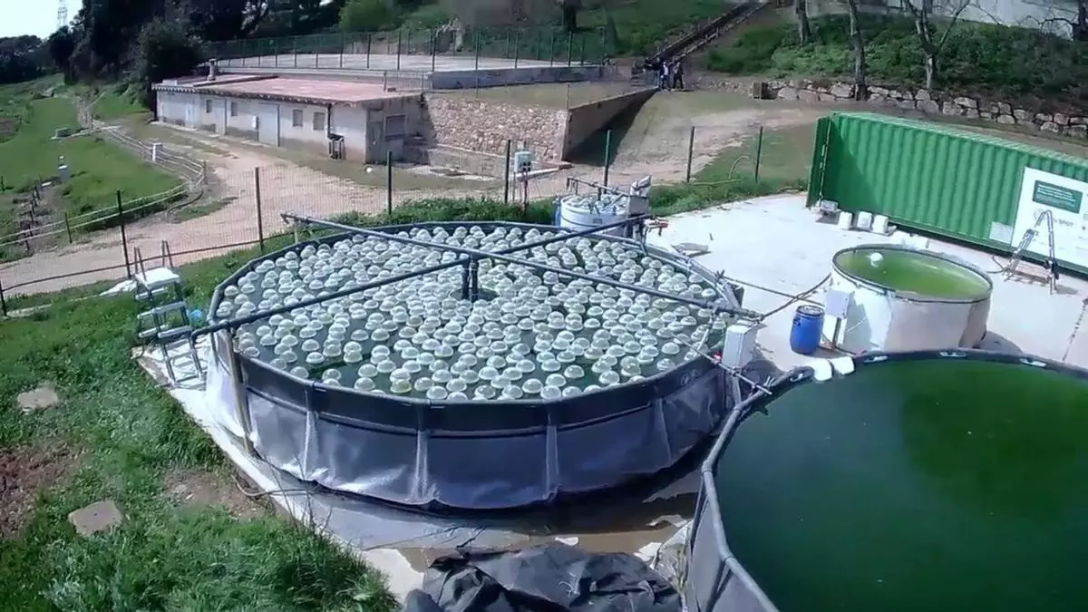 Desarrollan una tecnología para depurar aguas subterráneas contaminadas