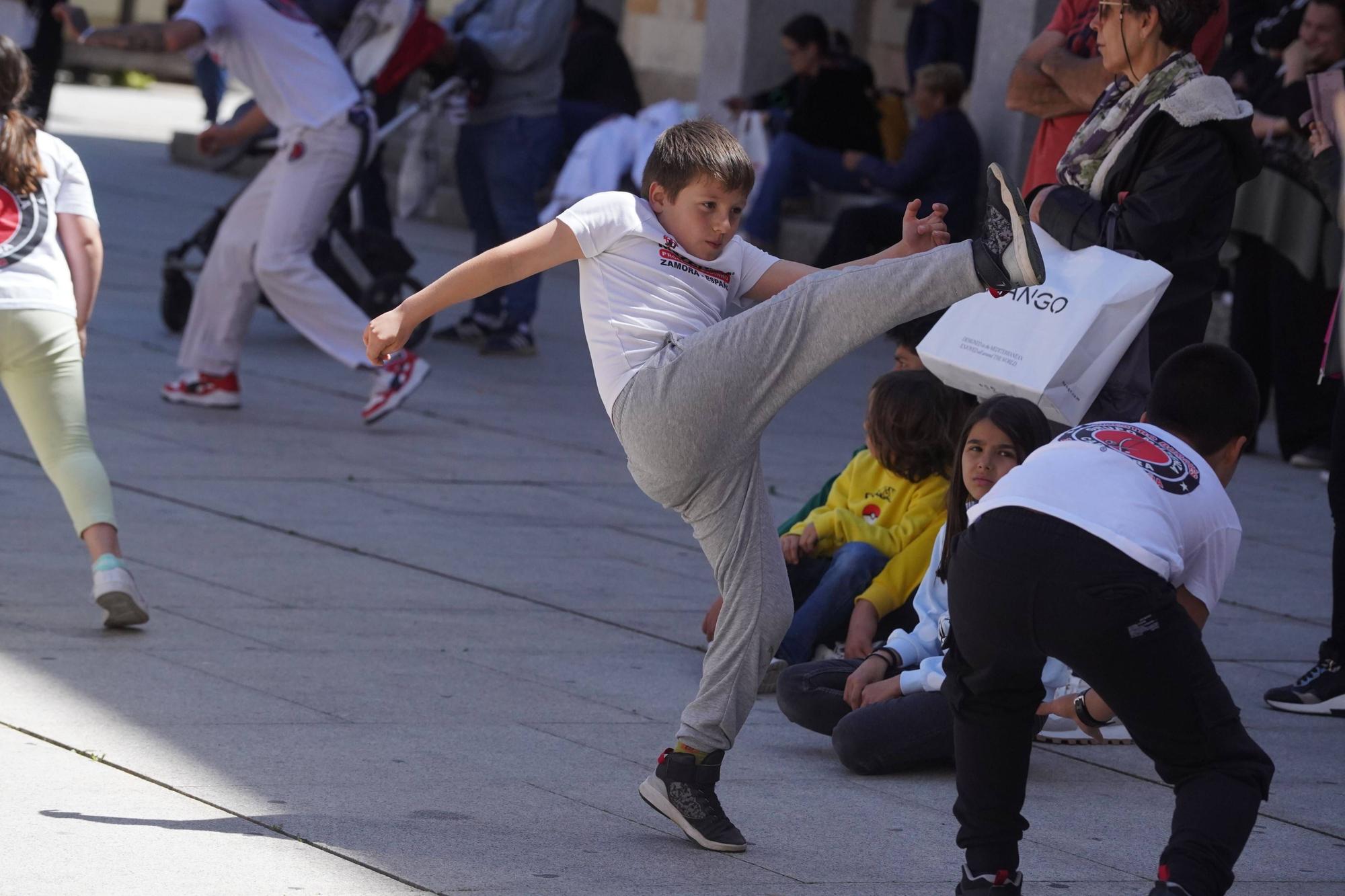 GALERIA | Exhibición de capoeira en Zamora