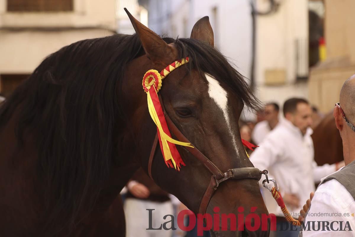 Concurso de caballo a pelo: pasacalles hasta el Hoyo en Caravaca