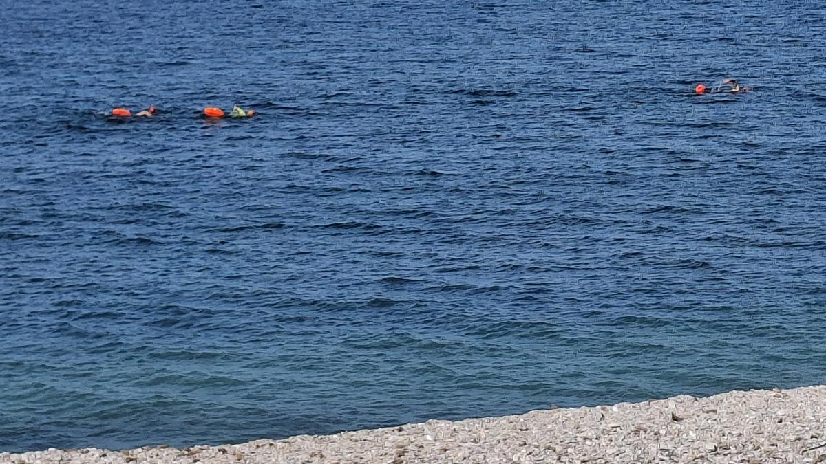Tres nadadores que, aunque no están muy lejos de la orilla del Primer Muntanyar, portan las boyas de señalización para evitar que una embarcación los arrolle