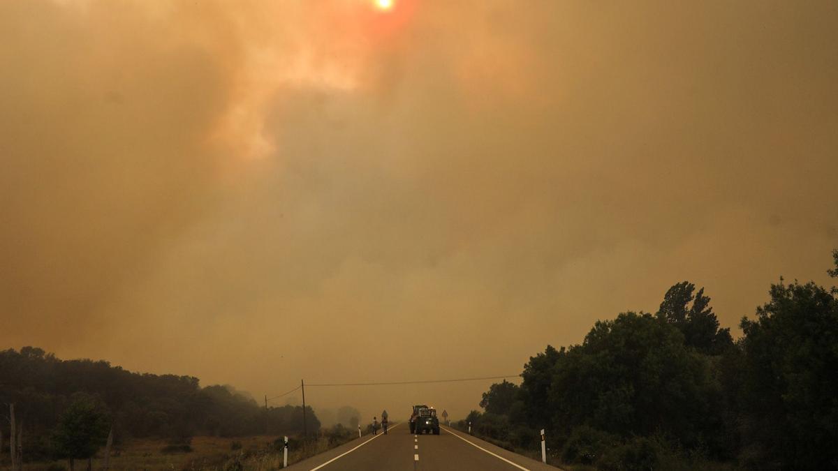 Incendio en Sierra de la Culebra: tras el humo, Junquera de Tera.