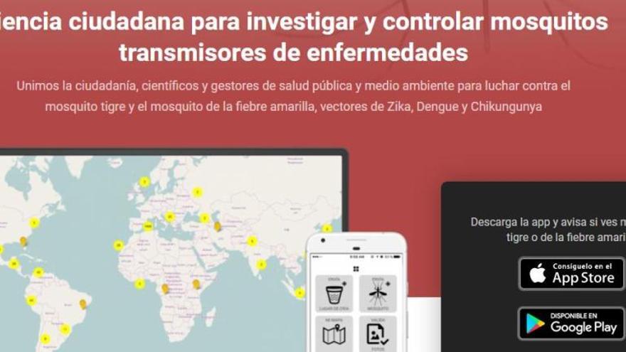 Neix un portal del mosquit tigre que recull informació dels ciutadans per fer una gestió i control més efectius