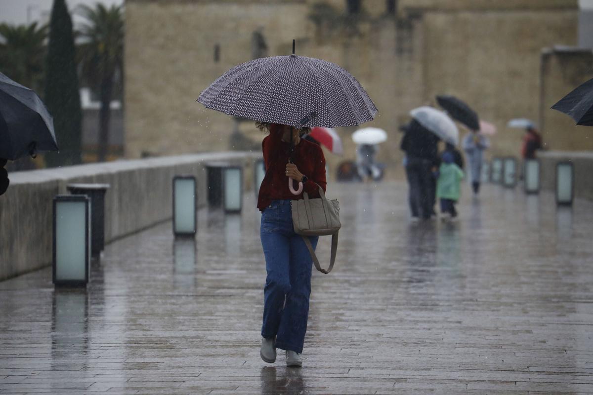 Unas personas tratan de protegerse de la lluvia.