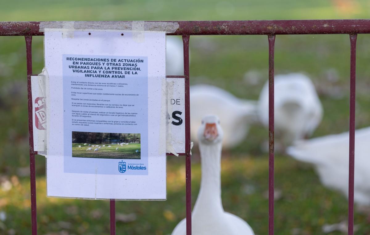 Cartel de prevención contra la Gripe Aviar en el parque del Soto de Móstoles, a 27 de octubre de 2025, en Móstoles, Madrid (España). 27 OCTUBRE 2025 Eduardo Parra / Europa Press 27/10/2025. Eduardo Parra