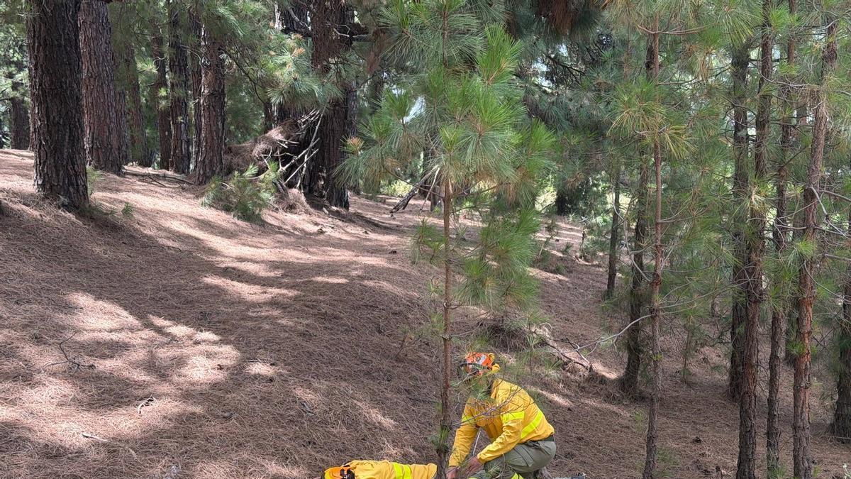 Un momento de las prácticas a los bomberos de La Palma.