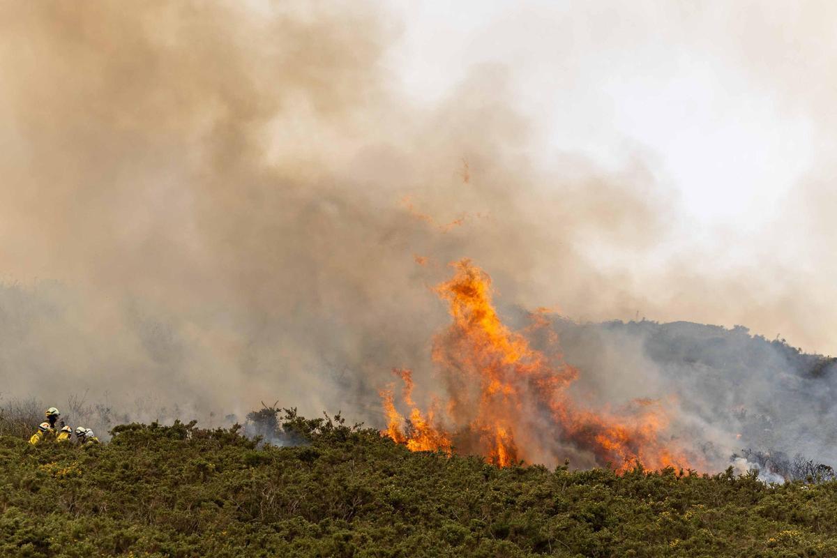 El fuego, un aliado en la prevención de las llamas: «Reduce la carga y nos da margen de seguridad