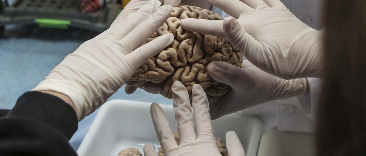 Imagen de una edición anterior de la Semana del Cerebro.