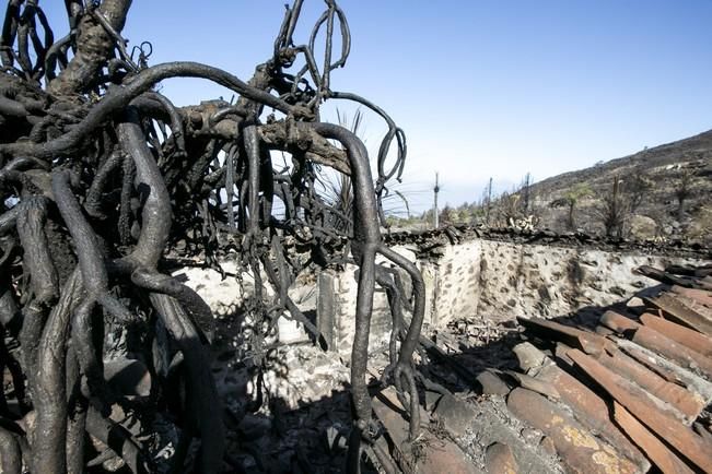 INCENDIO EN LA PALMA