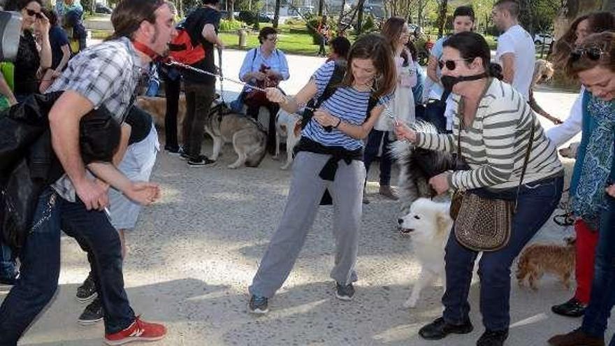 Los dueños de los perros se pusieron correas y bozales.  // R. Vázquez