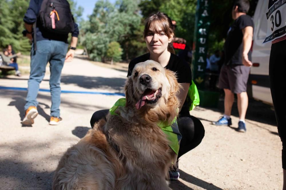 II Can We Run en Zamora