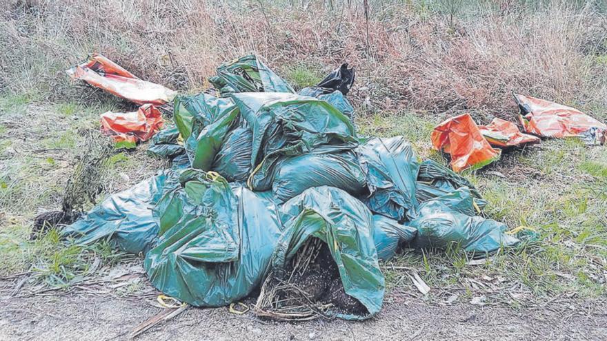Algunas de las bolsas localizadas. | Cedida