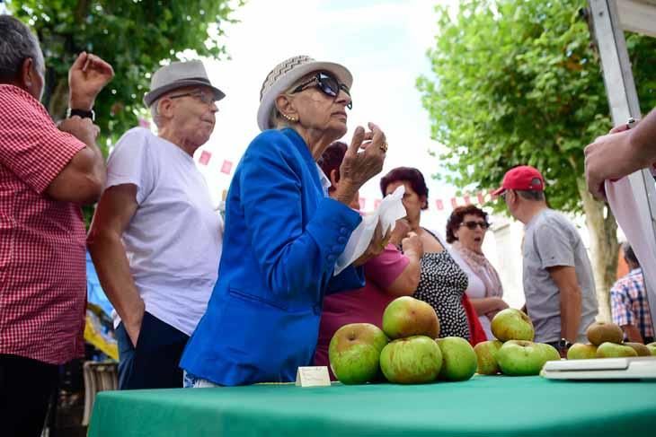 Fiesta de la manzana de Valleseco