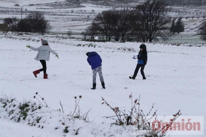 Nieve en Coy y Avilés (Lorca)