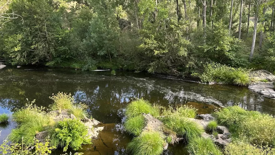 Video | Nuevos vertidos afectan al río Hurdano en Arrolobos