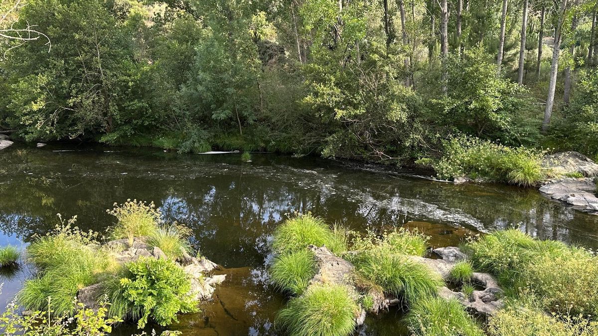 Video | Nuevos vertidos afectan al río Hurdano en Arrolobos