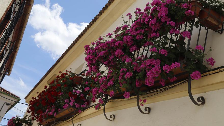 Los ganadores del concurso de rejas y balcones 2025, en imágenes