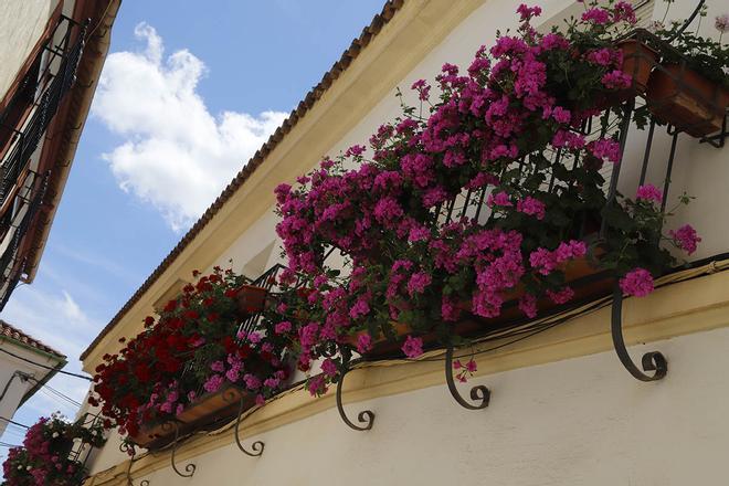 Los ganadores del concurso de rejas y balcones 2025, en imágenes