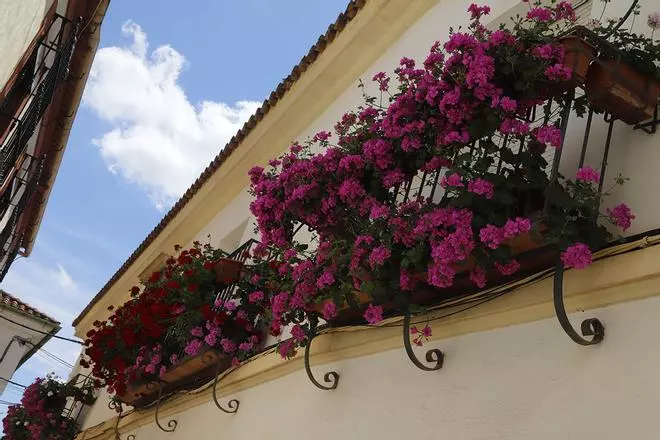 Los ganadores del concurso de rejas y balcones 2025, en imágenes