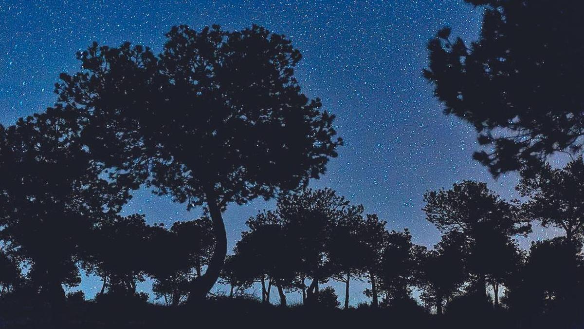 Un paisaje de Sierra Morena bajo un cielo estrellado.