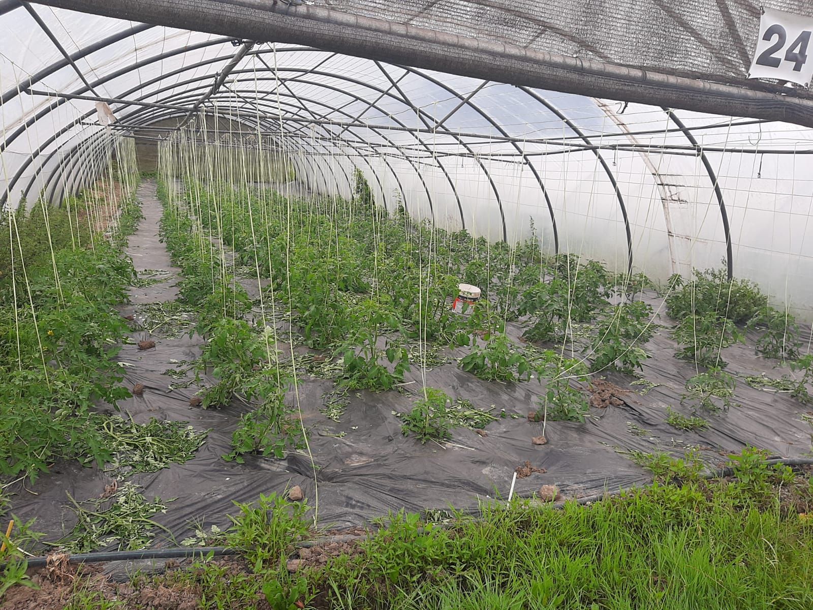 Así es Rural Ecolab, un paraíso de producción ecológica en Llanera