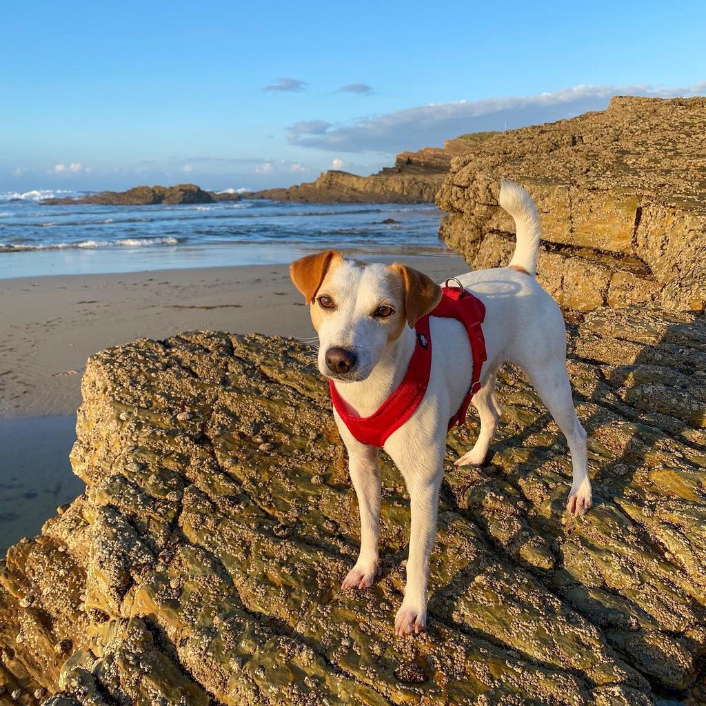 En la playa de Punta Corveira, Lugo.
